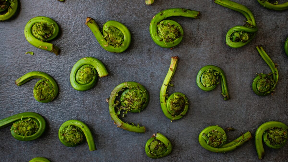 green chili peppers on gray surface