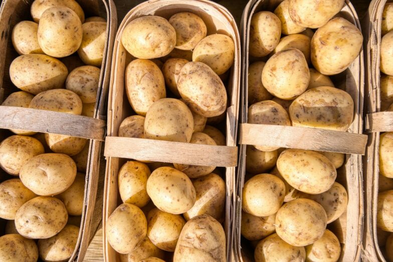brown round food in stainless steel container
