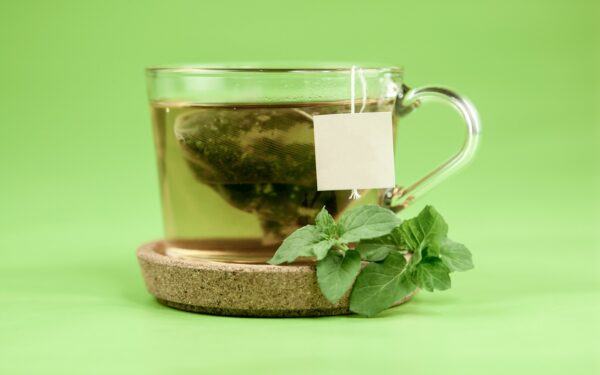clear glass mug with green leaves