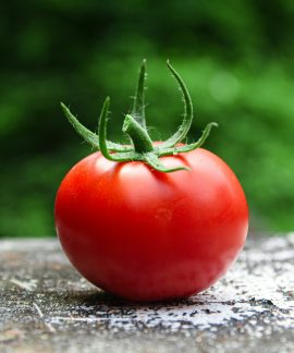 Pomidoras. Unsplash nuotr.