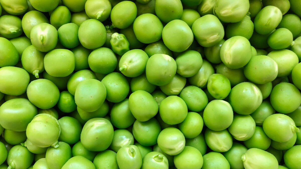 green round fruits in close up photography