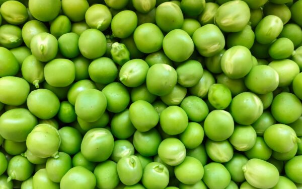 green round fruits in close up photography