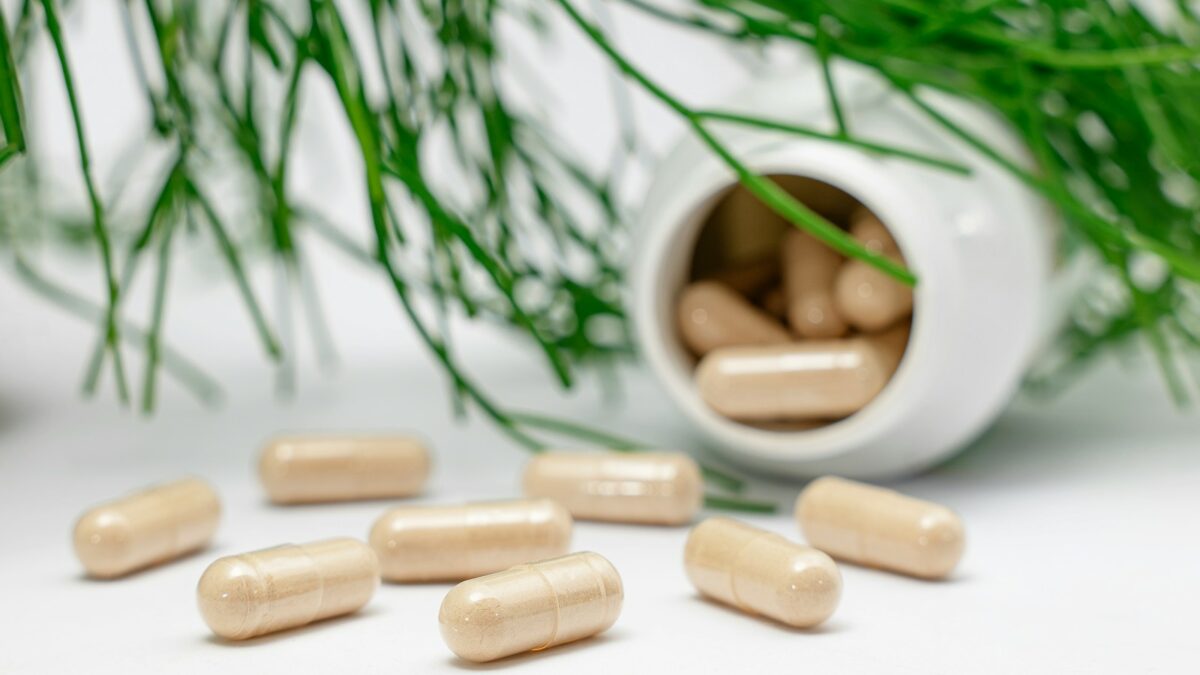 a group of nuts and a plant