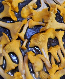 a frying pan filled with lots of yellow mushrooms