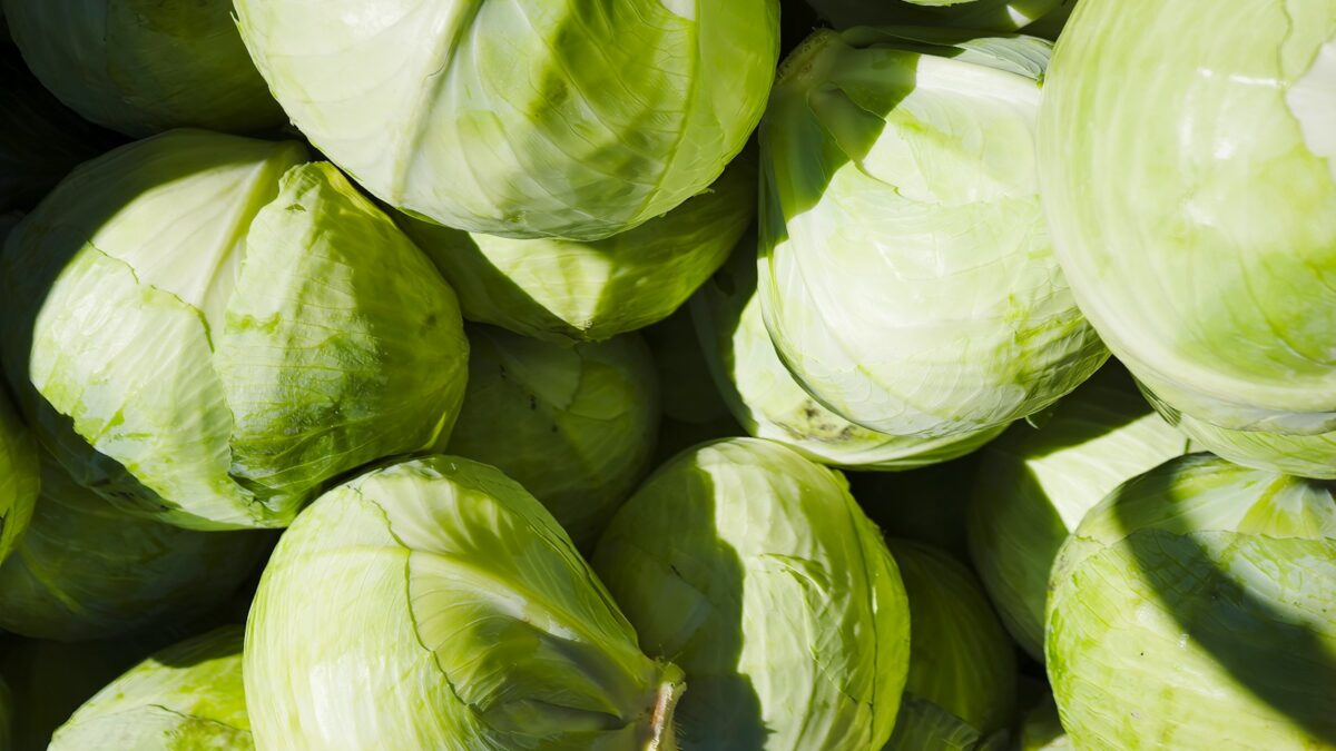 a group of white and green vegetables
