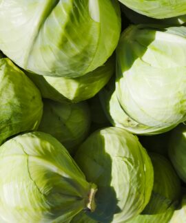 a group of white and green vegetables