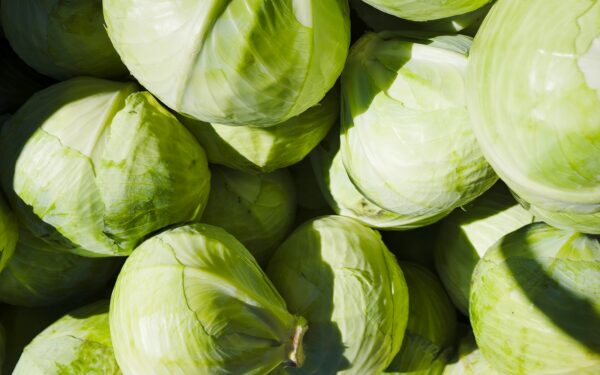 a group of white and green vegetables