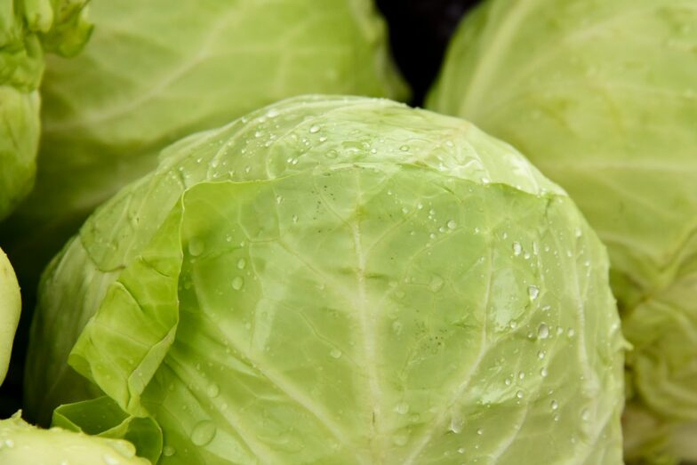 green leaf vegetable in close up photography