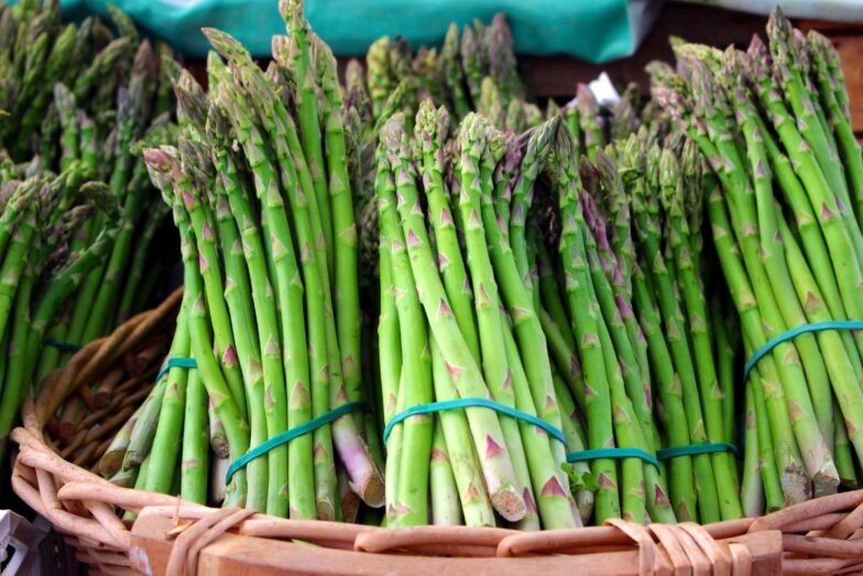 Smidrai. Canva nuotr.