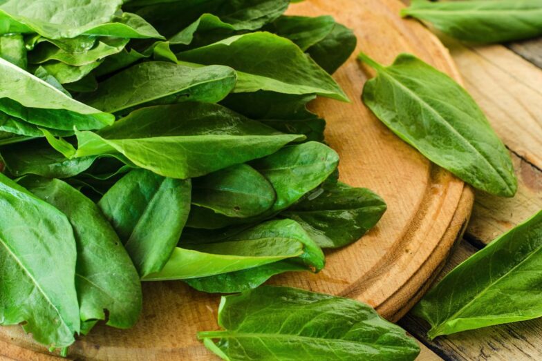 Rūgštynės. Canva nuotr.