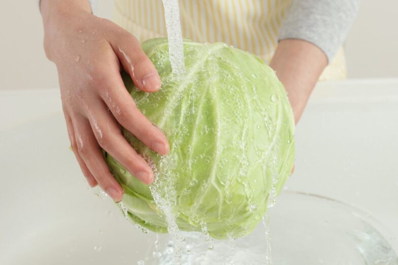 Kopūstas. Canva nuotr.