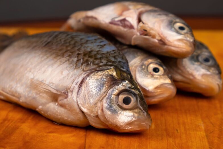 Karosas. Canva nuotr.