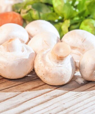 Pievagrybiai. Canva nuotr.