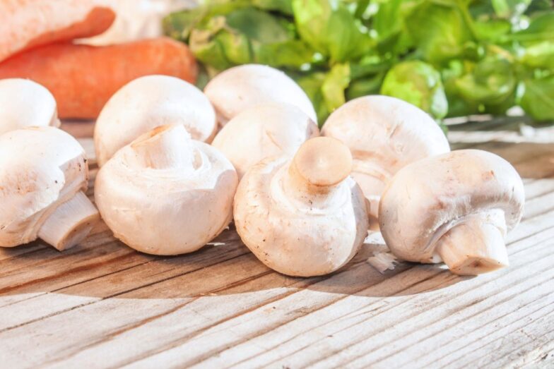 Pievagrybiai. Canva nuotr.