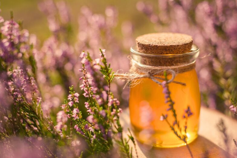 Viržų medus. Canva nuotr.