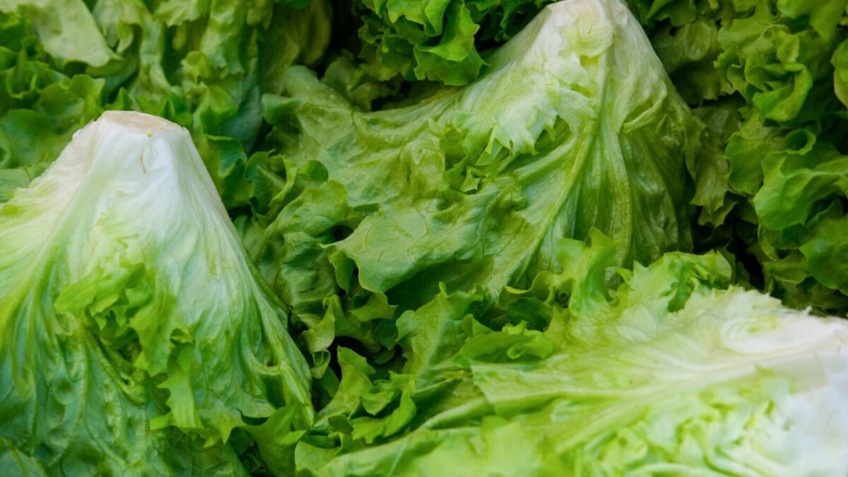 Salota. Pexels nuotr.