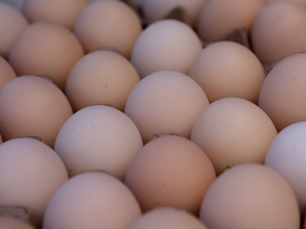 A closeup image of fresh organic eggs in a carton, showcasing their natural colors and textures.