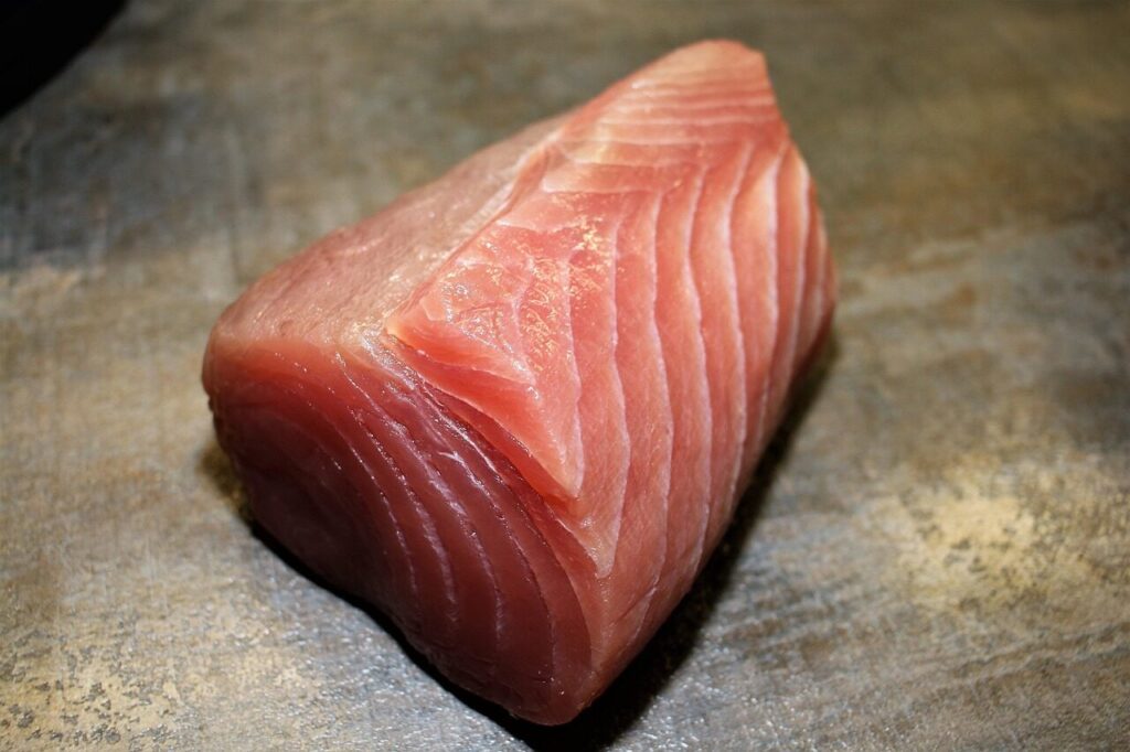 Tunas. Pixabay nuotr.