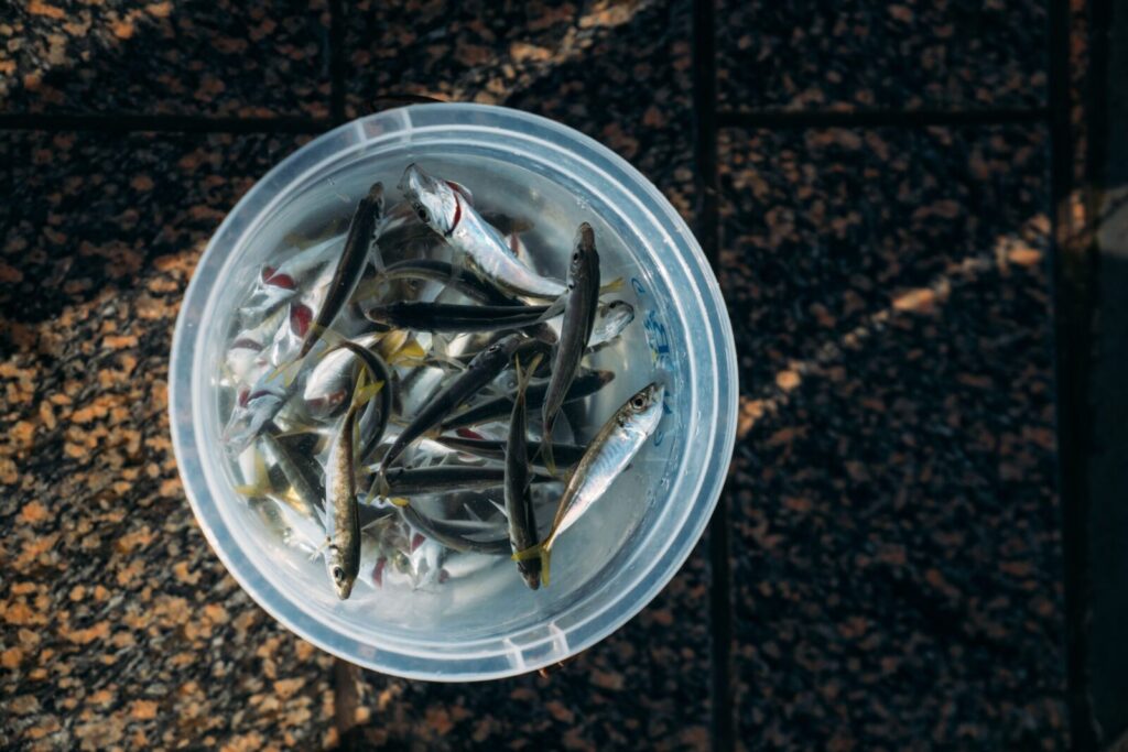 Stintos. Pexels nuotr.