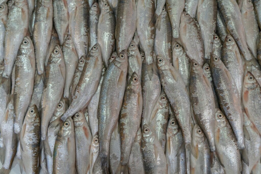 Stintos. Pexels nuotr.